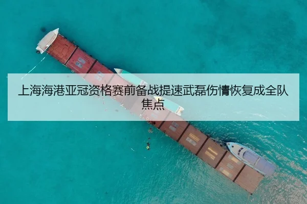 上海海港亚冠资格赛前备战提速武磊伤情恢复成全队焦点