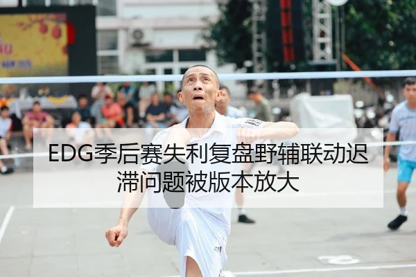 EDG季后赛失利复盘野辅联动迟滞问题被版本放大